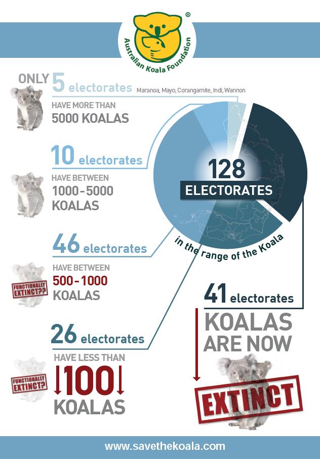 Declaran Funcionalmente Extinto el KOALA en Australia