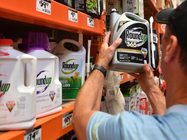 El Estado de California condena a Monsanto  a pagar USD$ 2.000 millones en nuevo juicio por Glifosato