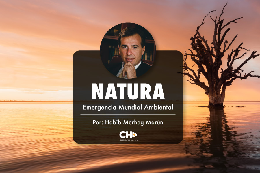 NATURA - Emergencia Mundial Ambiental - por Habib Merheg Marún