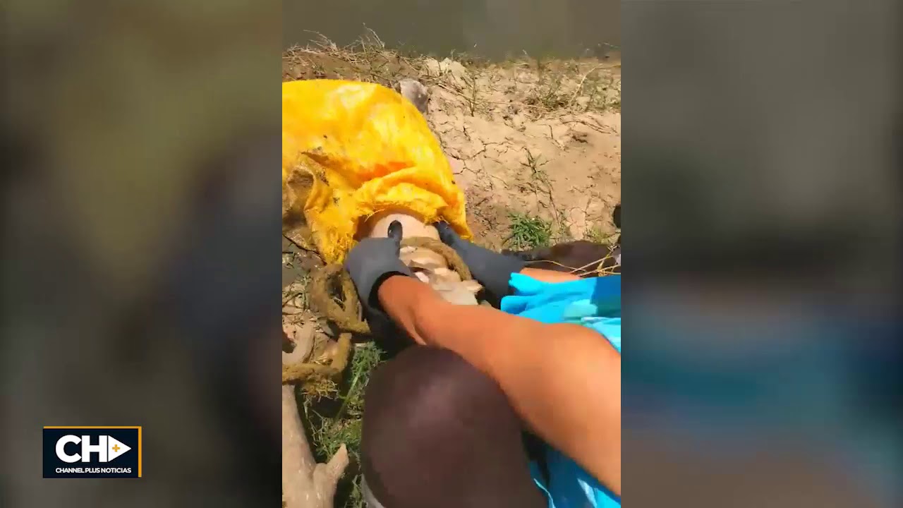 QUÉ MALDAD! Joven rescata perro que fue amarrado y lanzado al río para que muriera