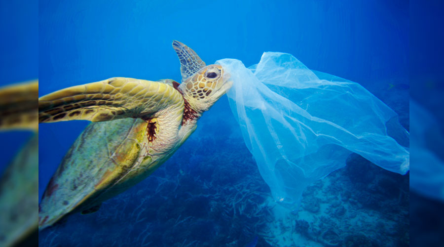 Se aprueba ley que prohíbe uso de plásticos en San Andrés