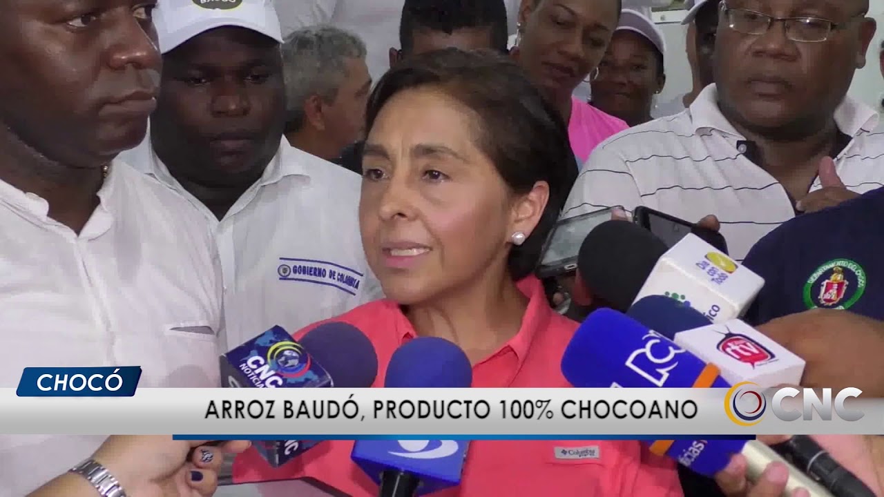 Arroz Baudó, producto 100% chocoano