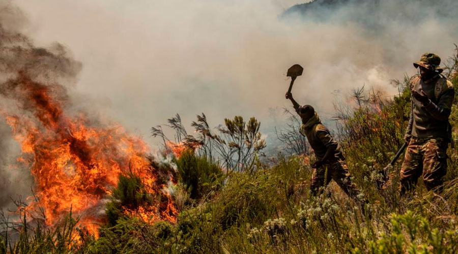 Hay más incendios en el África subsahariana que en la Amazonia