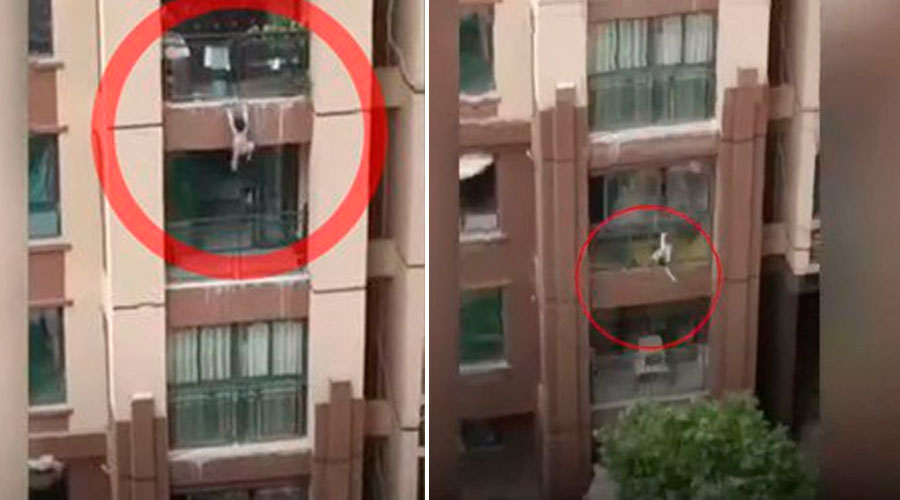 VÍDEO: Niño sobrevive a CAÍDA de sexto piso gracias a acción heroica