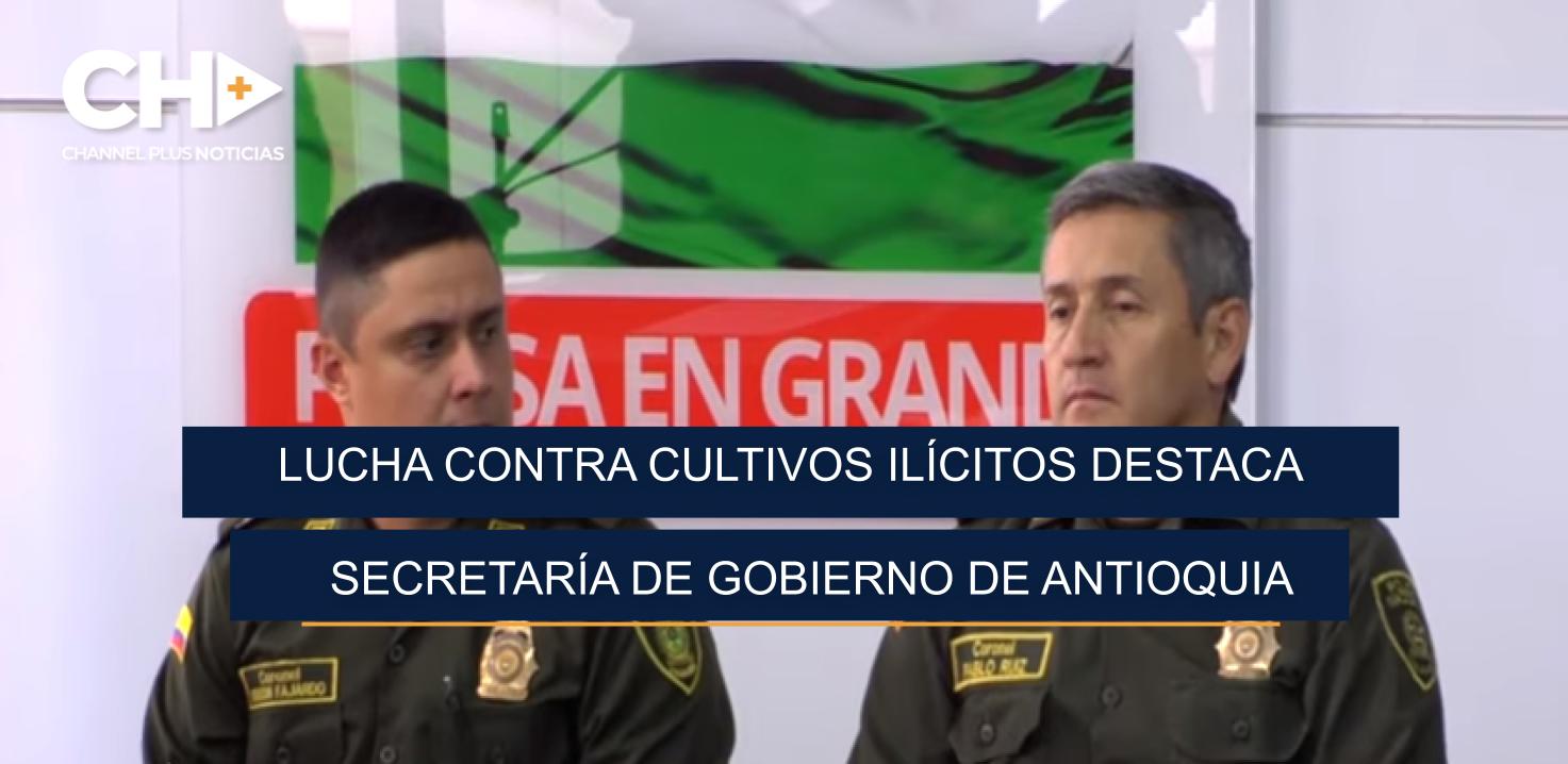 LUCHA CONTRA CULTIVOS ILÍCITOS DESTACA SECRETARÍA DE GOBIERNO DE ANTIOQUIA