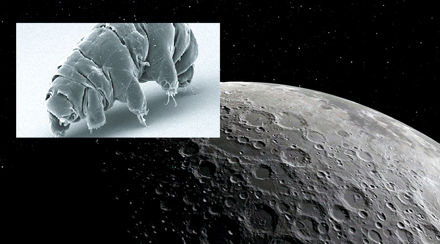 ¿Podríamos sin querer, haber colonizado La Luna?