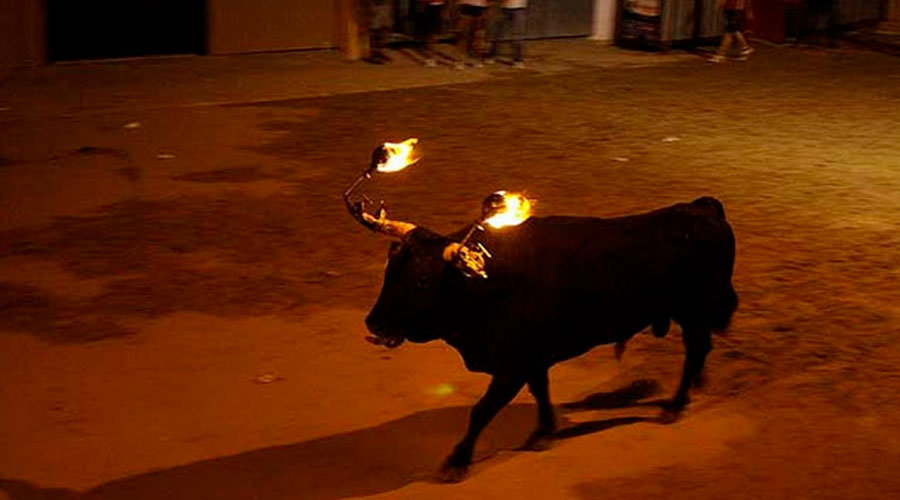 Indignación en las Redes por el sufrimiento de un toro con los cuernos en llamas en España
