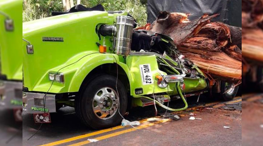 MILAGRO: Se salvó luego que inmenso TRONCO aplastara su camión
