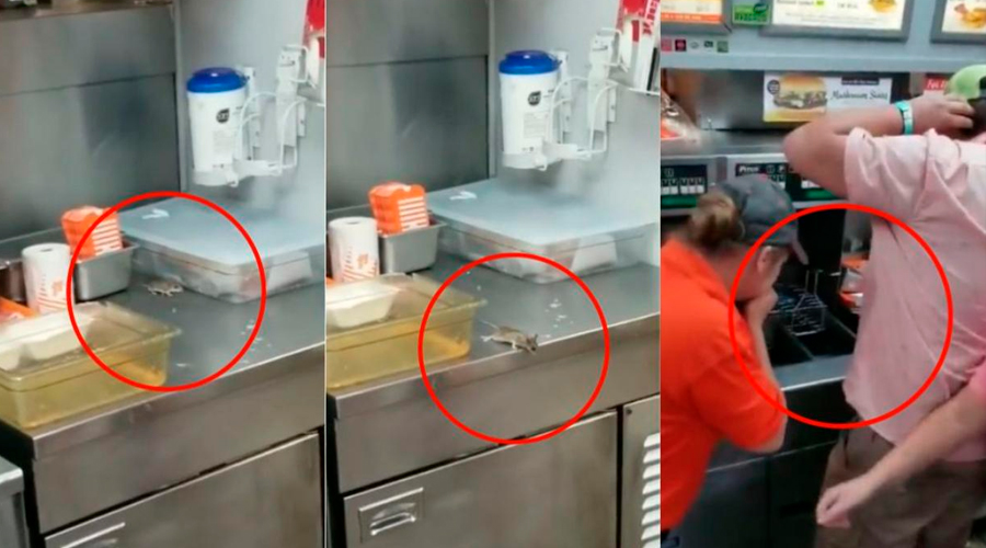 VÍDEO: Un ratón ‘se suicida’ ante decenas de clientes de un restaurante