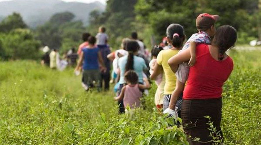 Desplazamiento masivo en Tarazá, Antioquia, tras brutal asesinato de 3 personas