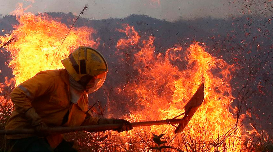 El 30 % de Colombia está en riesgo de incendios forestales