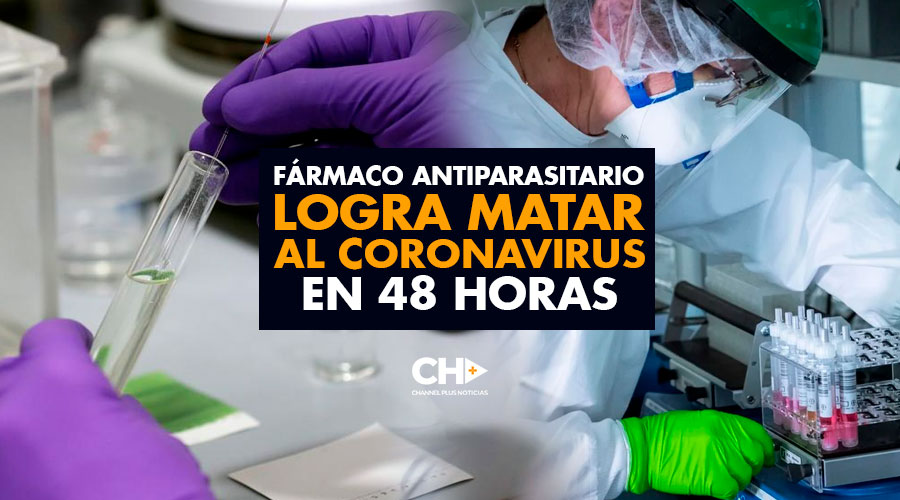 Fármaco antiparasitario logra matar al coronavirus en 48 horas