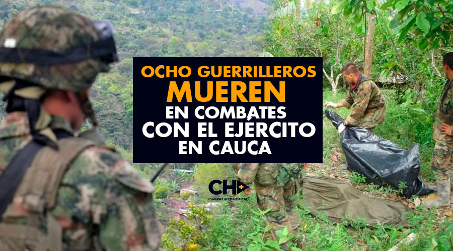Ocho Guerrilleros de las Farc mueren en combates con el Ejército en Cauca