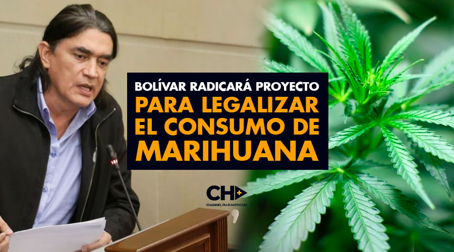 Bolívar radicará proyecto para legalizar el consumo de marihuana