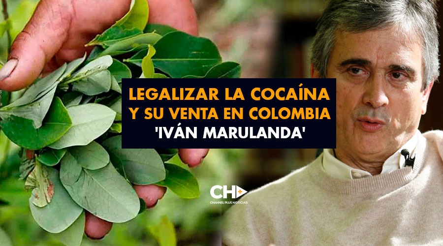 Legalizar la Cocaína y su venta en Colombia ‘Iván Marulanda’