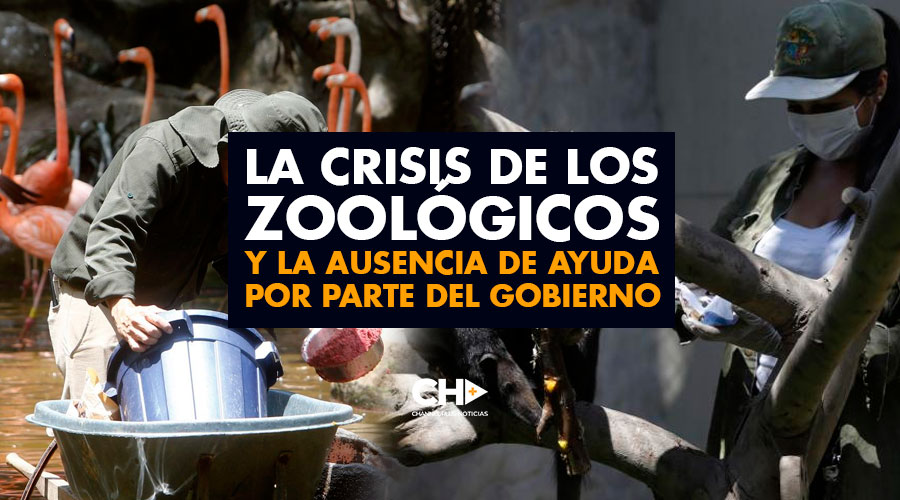 La CRISIS de los ZOOLÓGICOS en Colombia y la ausencia de ayuda por parte del gobierno