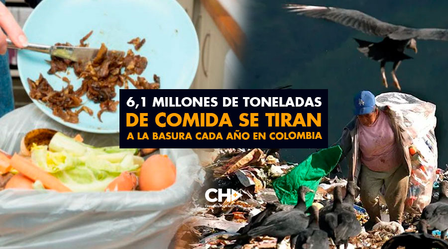 6,1 Millones de Toneladas de comida se tiran a la basura cada año en Colombia