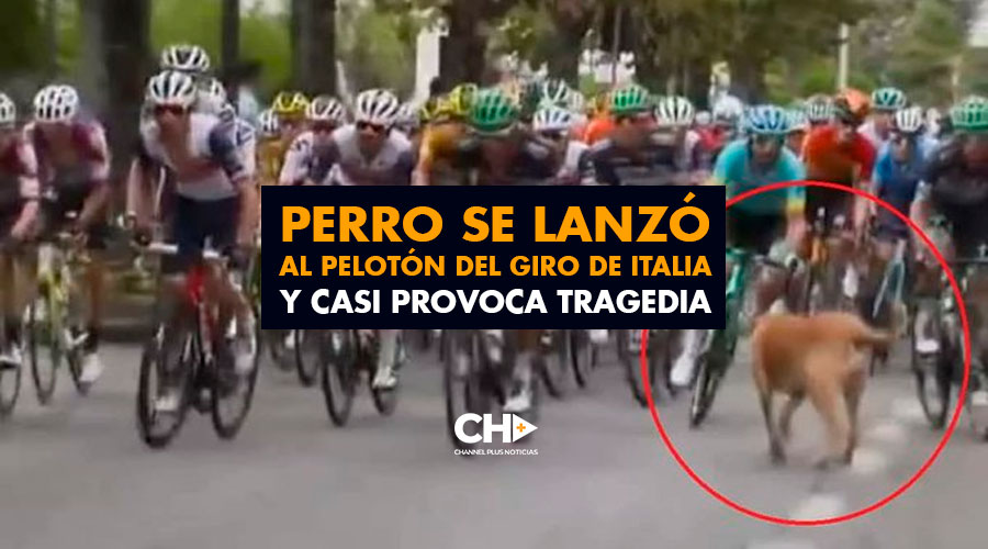 Perro se lanzó al pelotón del Giro de Italia y casi provoca tragedia