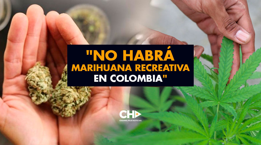 «No habrá MARIHUANA recreativa en Colombia»
