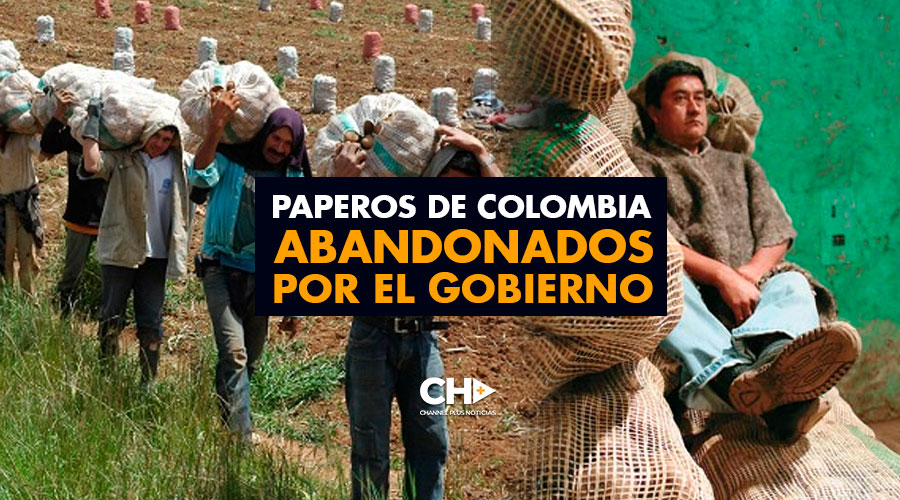 Paperos de Colombia abandonados por el gobierno