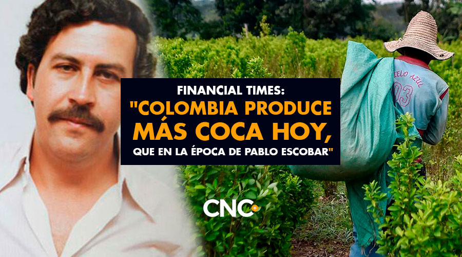 Financial Times: «Colombia produce más COCA hoy, que en la época de Pablo Escobar»