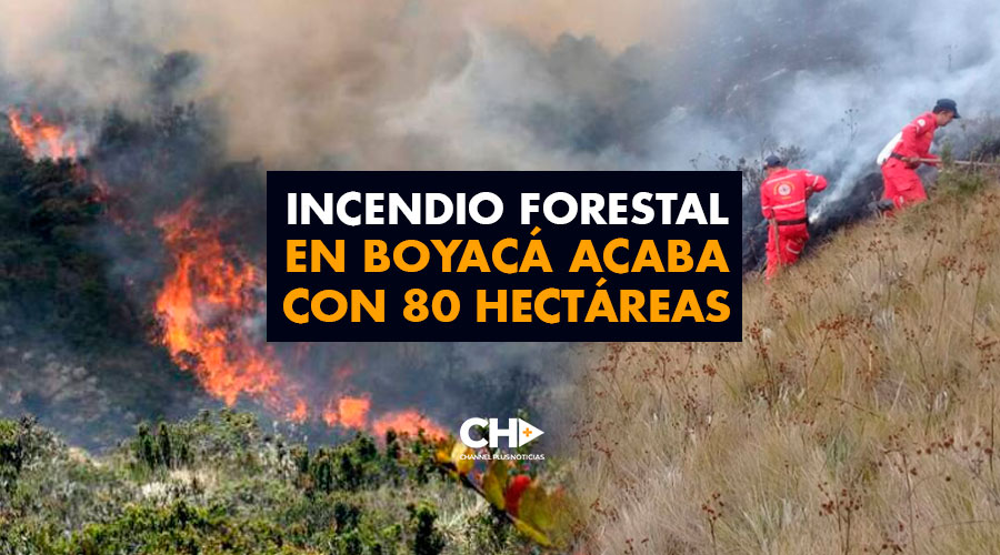 Incendio forestal en Boyacá acaba con 80 hectáreas
