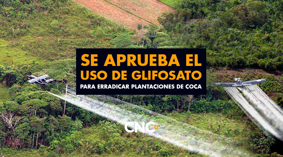 Se aprueba el uso de Glifosato para erradicar plantaciones de Coca