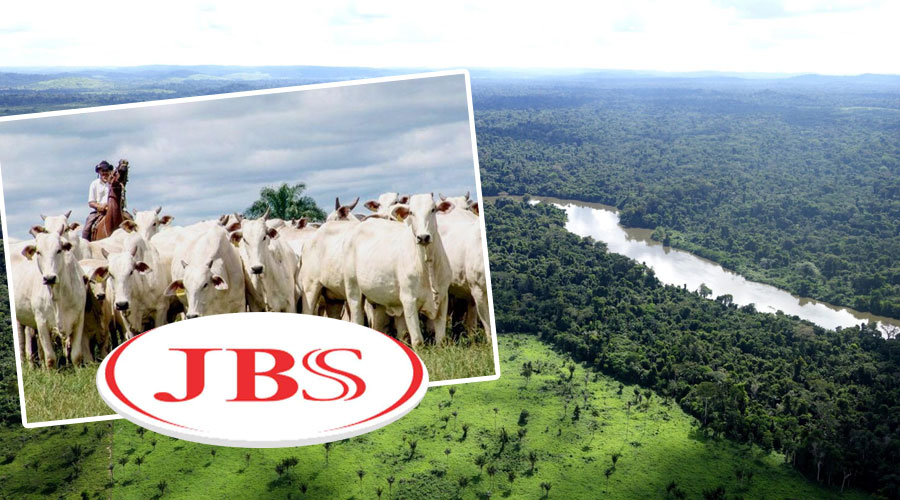 La Ganadería JBS deberá detener la Deforestación en Amazonas