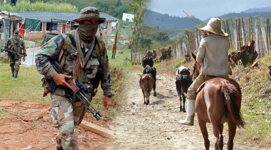 100 ganaderos pidieron a la JEP ser reconocidos como víctimas del conflicto armado