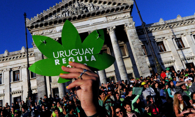 Uruguay: 5 años con marihuana legal. ¿Ejemplo a seguir?