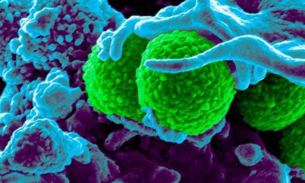 Qué son las super bacterias y cómo ayudar a evitarlas