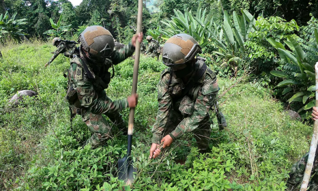Se suspende erradicación forzada de cultivos de coca: nuevo comandante de la Policía Nacional
