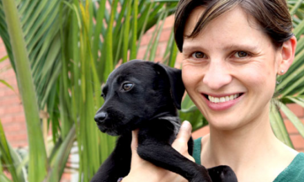 Senadora animalista logró incluir IVA a venta de mascotas en reforma tributaria