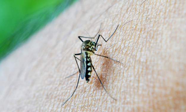 Aumenta el dengue en Colombia. Procuraduría solicita intensificar acciones de prevención y control