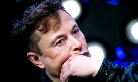 Elon Musk y sus titubeos con Twitter. Verificación paga en la red social se vuelve a posponer