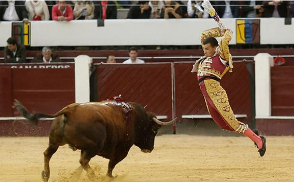 <strong>Las corridas de toros cada día más cerca de su prohibición</strong>