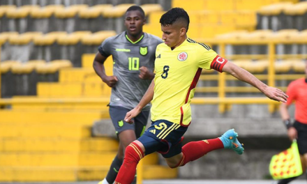 <strong>Hay Campeonato Suramericano de Fútbol Sub-20 en Colombia: esta será nuestra selección</strong>