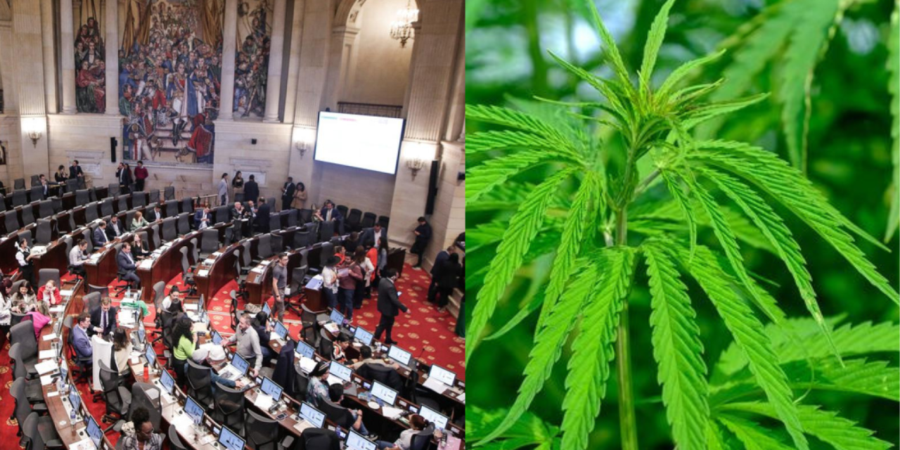 <strong>Proyecto Cannabis en el Congreso: cerca de un mal “aterrizaje”</strong>