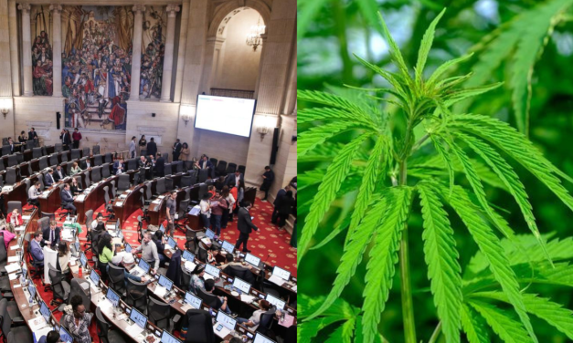 <strong>Proyecto Cannabis en el Congreso: cerca de un mal “aterrizaje”</strong>