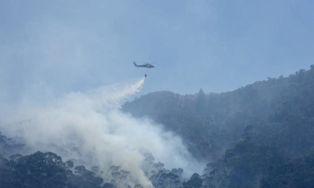 <strong>75 de cada 100 municipios del país en alerta por incendios forestales</strong>