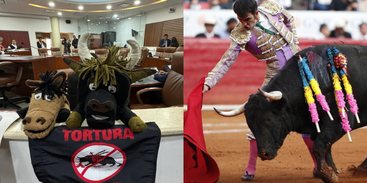 <strong>Nuevo intento de prohibir corridas de toros avanza en el Congreso</strong>