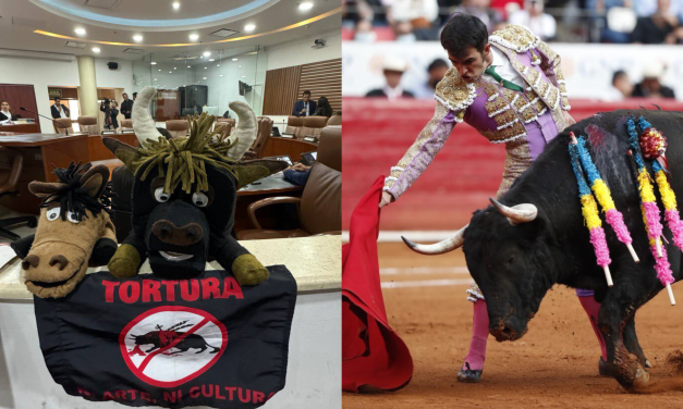<strong>Nuevo intento de prohibir corridas de toros avanza en el Congreso</strong>