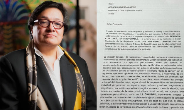 <strong>La renuncia de la candidata a fiscal en frases</strong>