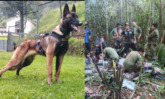 <strong>El perro Wilson nunca estuvo con los niños indígenas perdidos en la selva, revela informe de la Aeronáutica</strong>