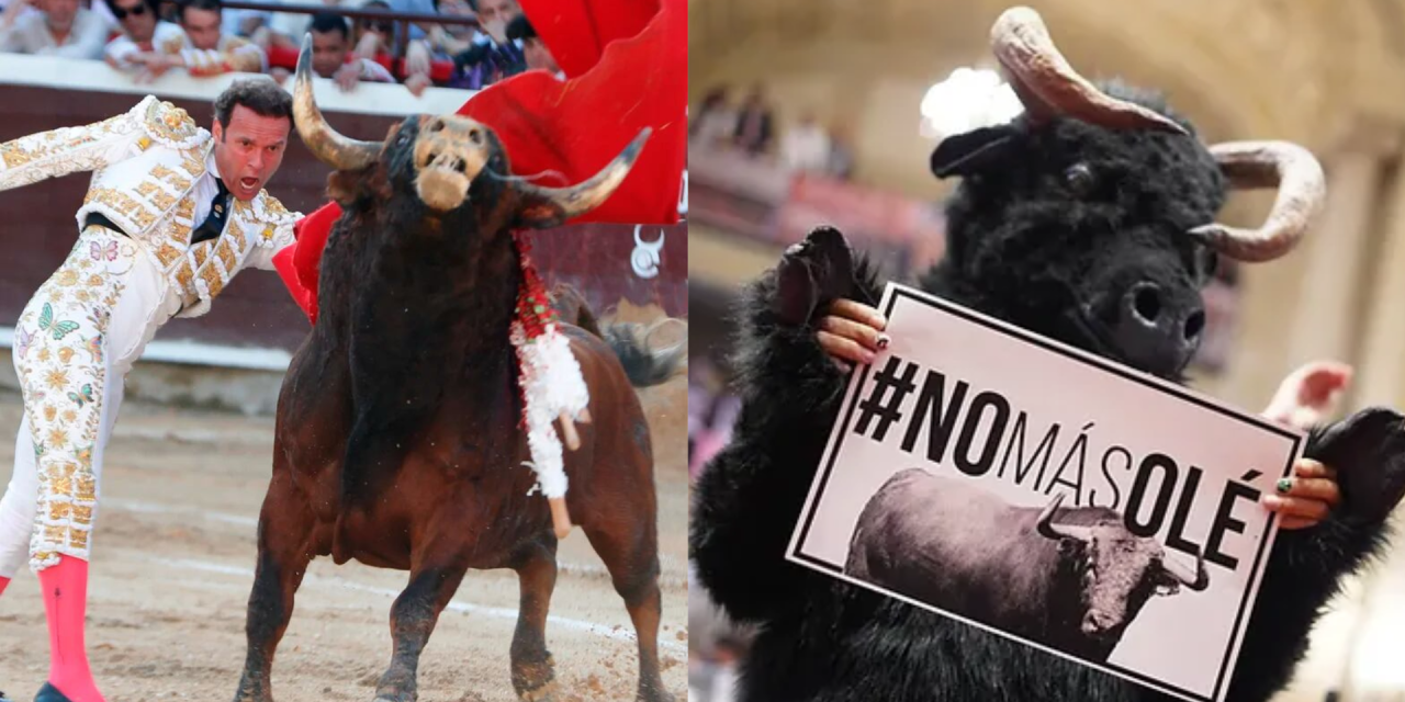 <strong>Prohibición de las corridas de toros: sí pero no</strong>