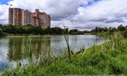 Hallaron cuerpo de una mujer dentro de una maleta en Bogotá