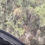 Confirmaron fallecimiento de los diez pasajeros de la avioneta accidentada en Antioquia. Ocho de ellos eran familiares