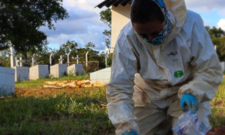 Unidad de Búsqueda de Personas recuperó nueve cuerpos de personas desaparecidas en un cementerio de Mapiripán, Meta