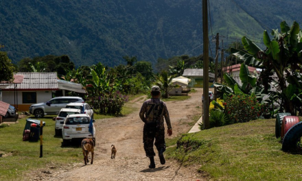 ONU alertó que más de 10 mil colombianos han sido reclutados como mercenarios