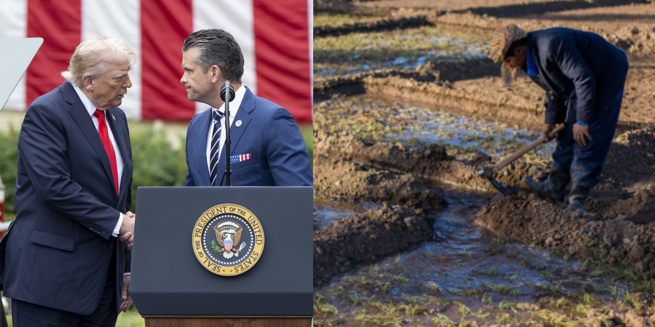 ONU emitió alerta de crisis alimentaria mundial por doble bloqueo en estrecho de Ormuz. EE.UU. aseguró que bloqueará “el tiempo que sea necesario”